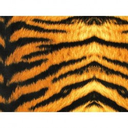 Tiger Print on lycra brown-black
