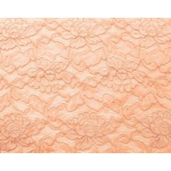 Flower stretch lace - Champagne