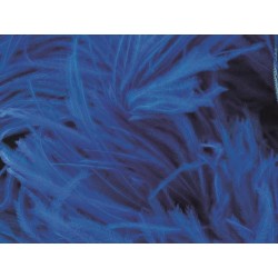 Pióra strusie na taśmie ELECTRIC BLUE